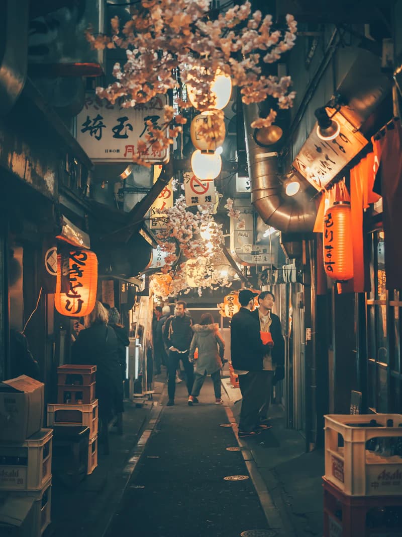Tokyo in Full Bloom