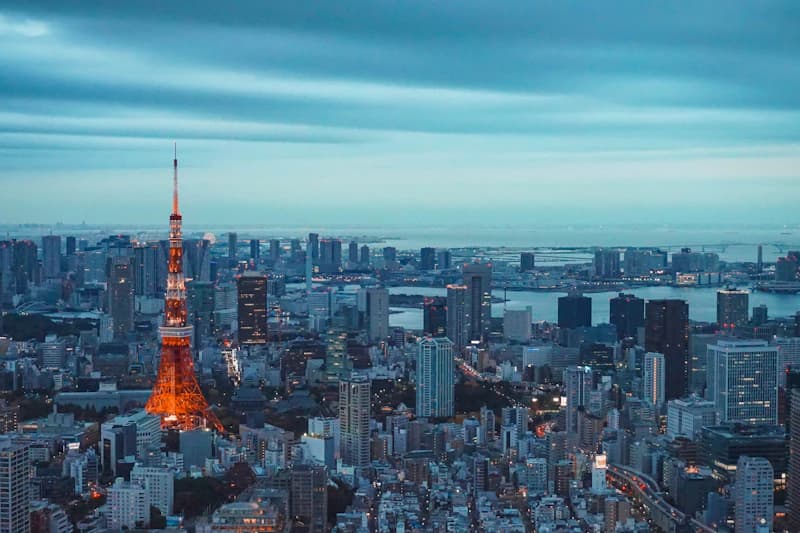 Shibuya & Shinjuku: The Neon Core