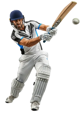 Cricket sport category