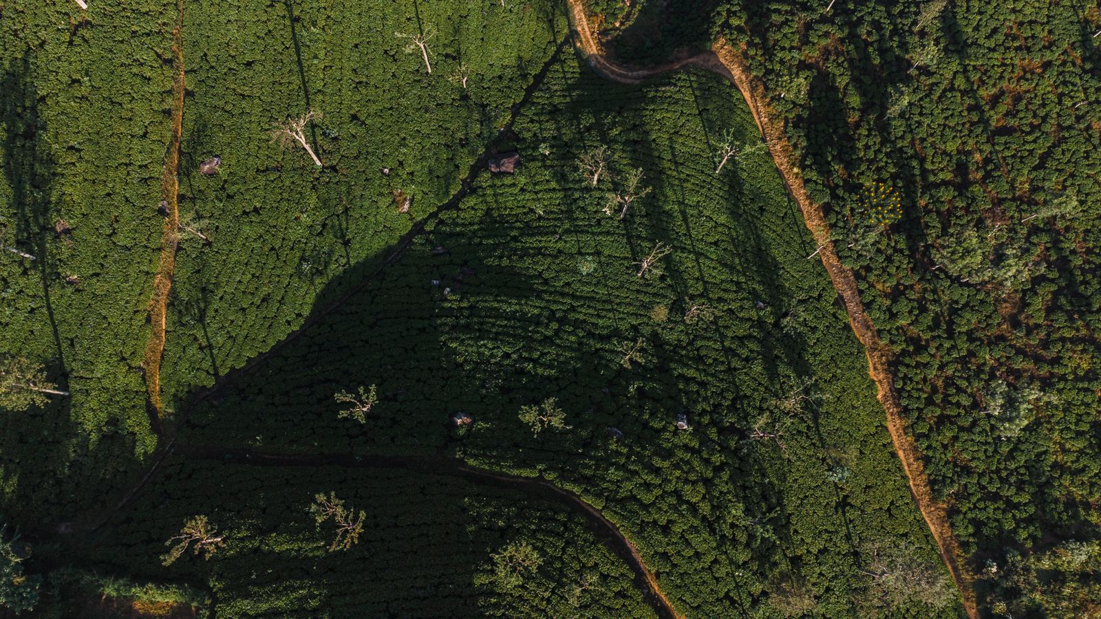Sri Lanka at a Glance