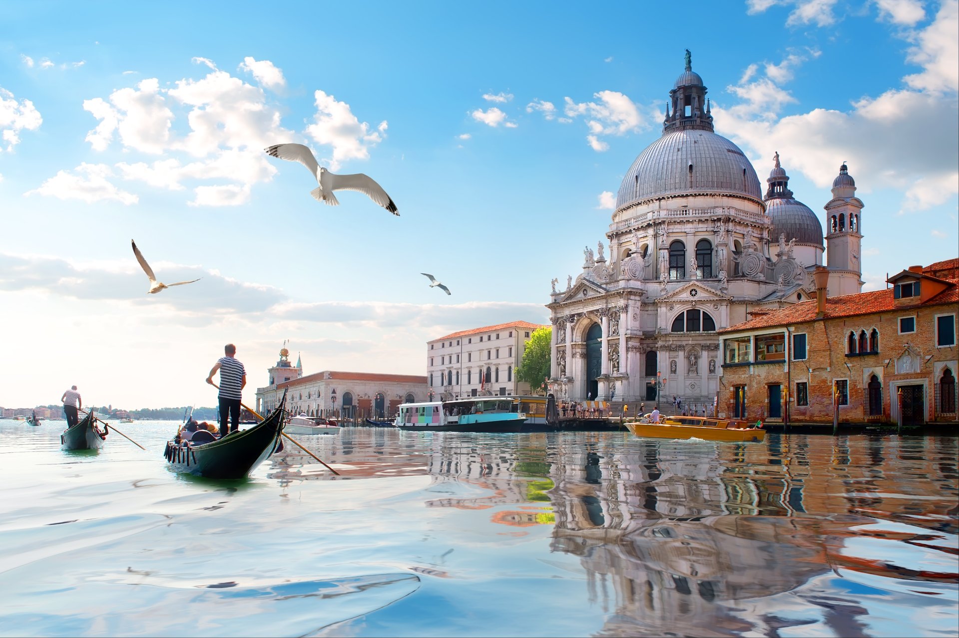 Van Tour: Italy