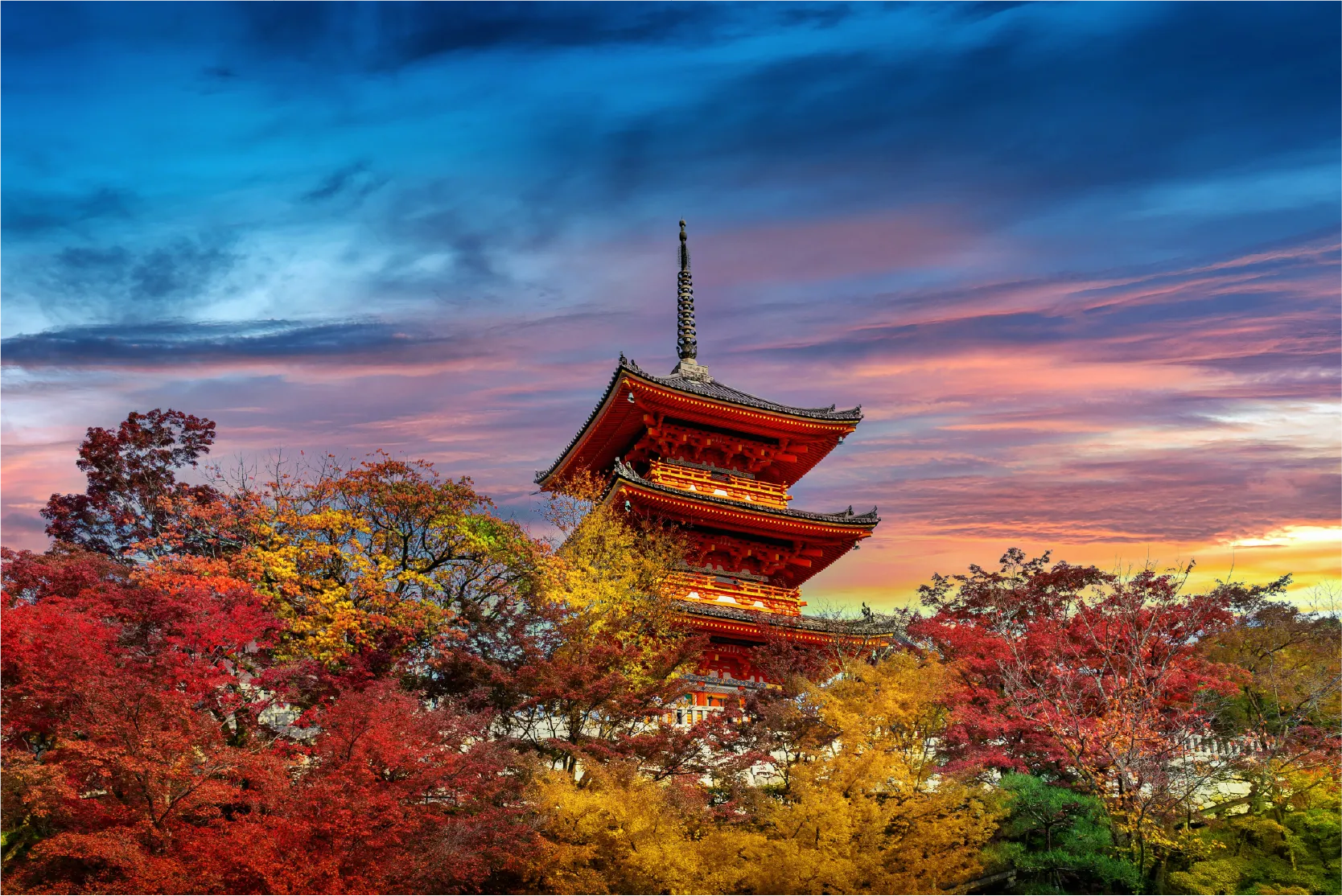 Serene Japan: Where Culture Bows, Autumn Glows & Sumo Roars