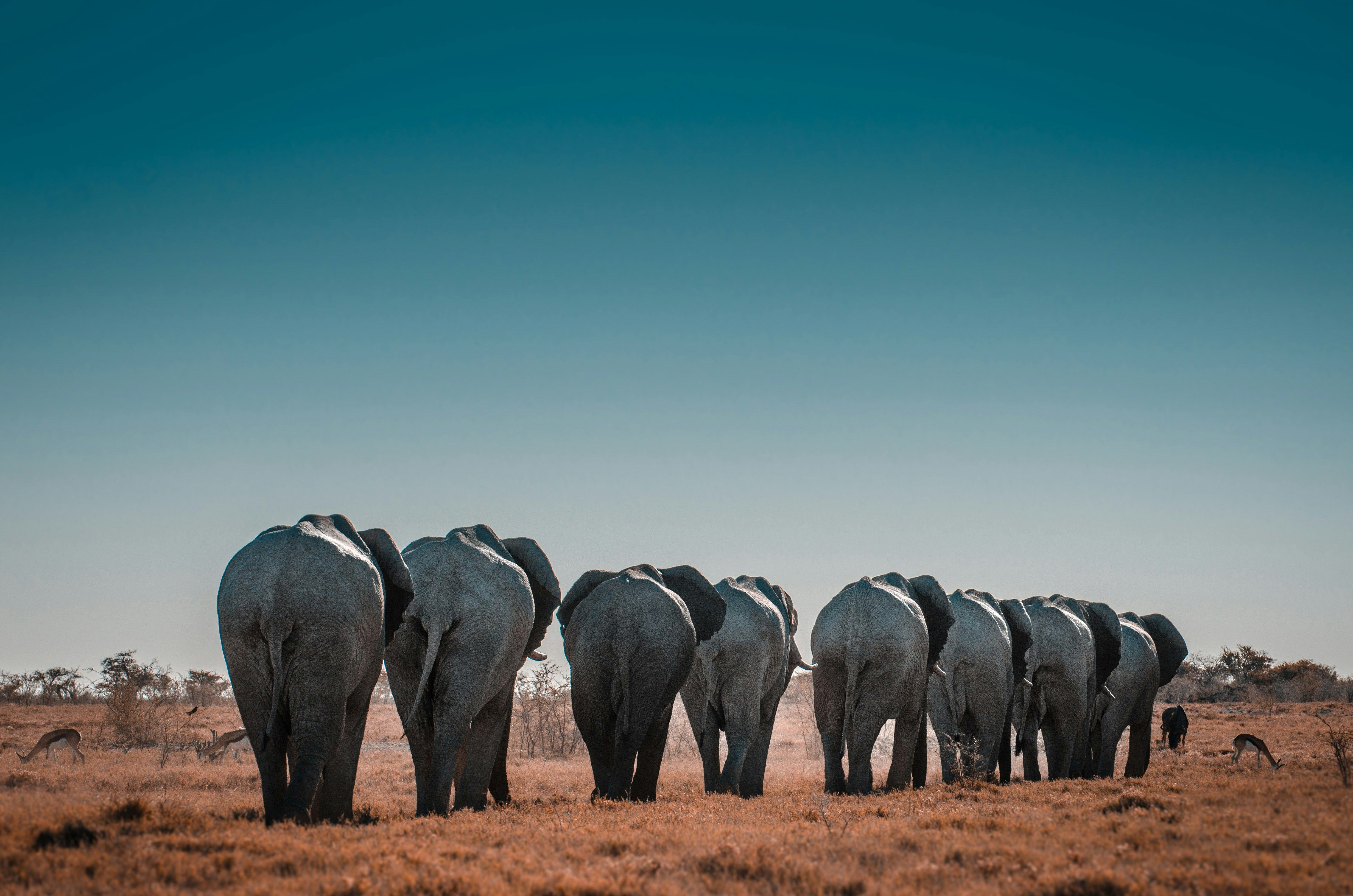 A Namibian Adventure